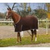 Odpocovací deka pro koně, barva: hnědá, velikost: 183cm       